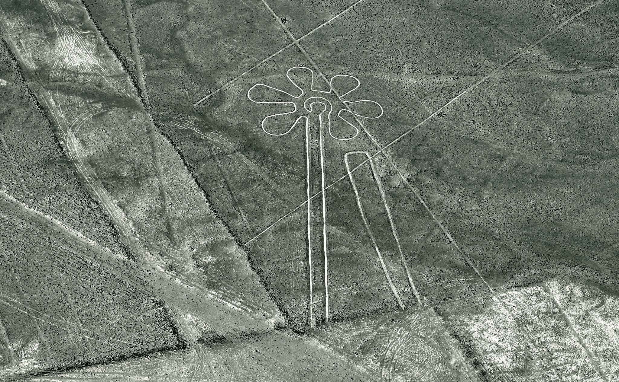 20200305 368 [페루] 나스카 라인